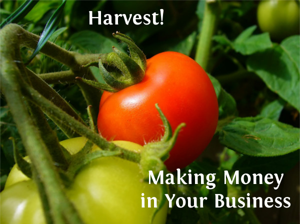 Family Business Greenhouse II: Harvest – Making Money